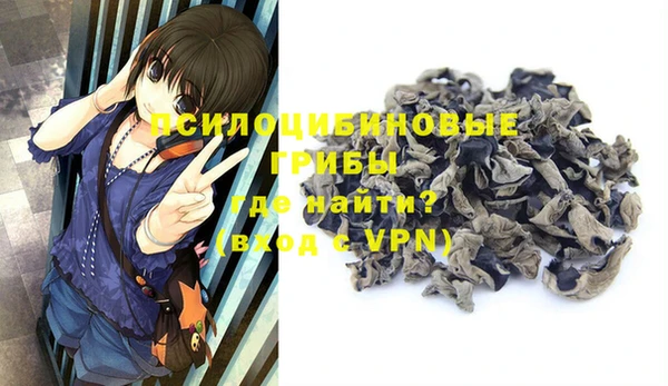 дурь Россошь