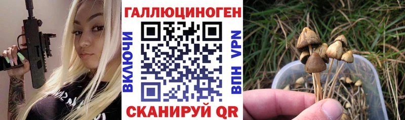 Псилоцибиновые грибы GOLDEN TEACHER  Купить  Брюховецкая 